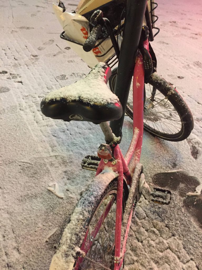 cyklistika, kolo ve sněhu, jak sportovat v zimě